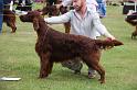 Meadway Morrisey (20)
